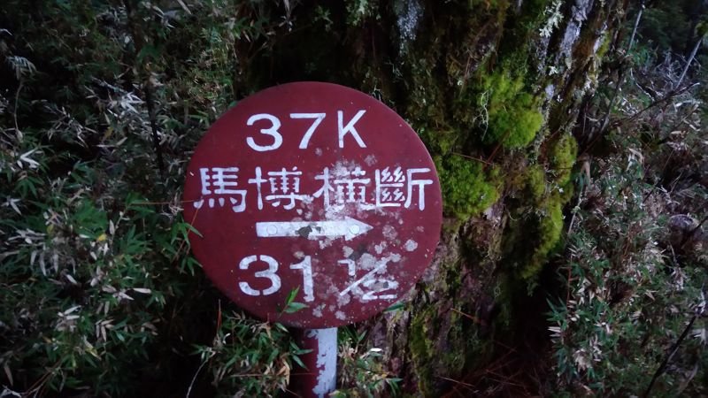 P_20171204_062120.jpg