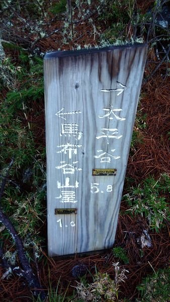 P_20171204_065250.jpg