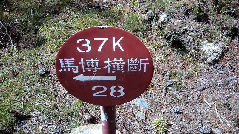 P_20171204_101337.jpg