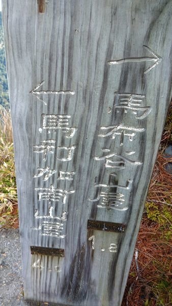 P_20171204_105533.jpg