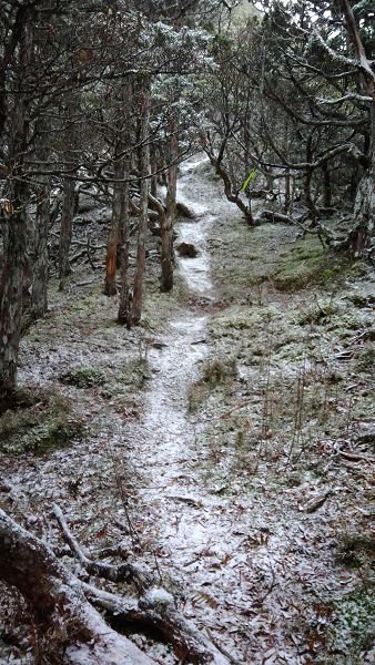 P_20171206_134816.jpg