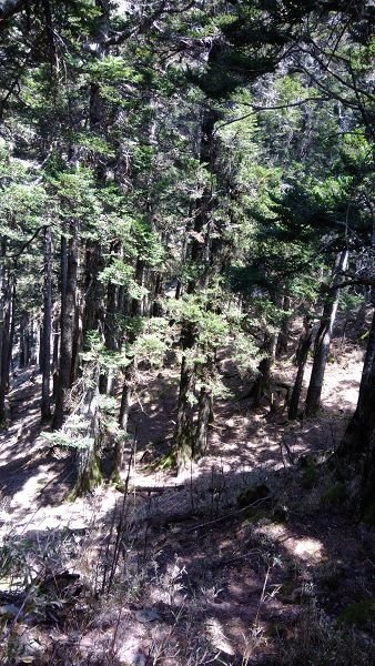 P_20180404_113214.jpg