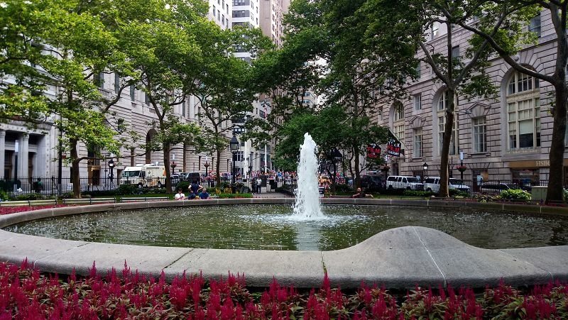 P_20180701_095019.jpg