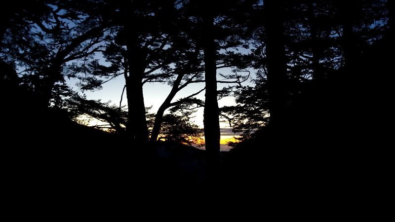 P_20181123_060103.jpg
