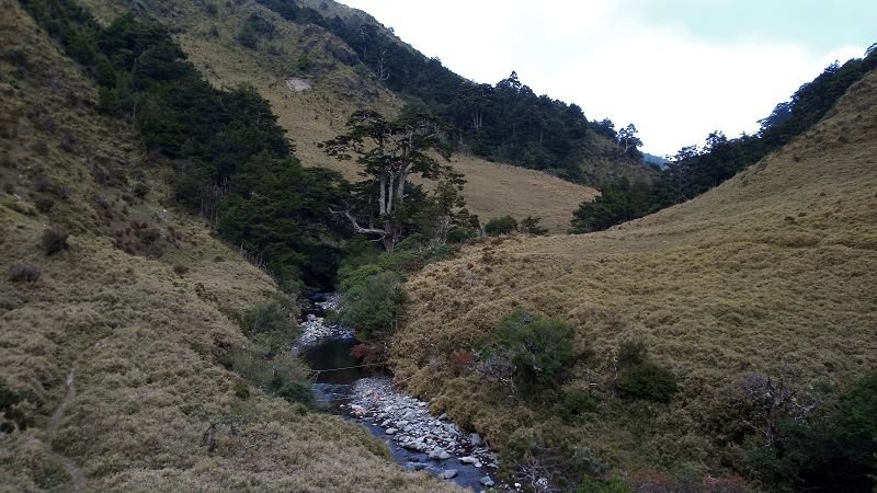 P_20181123_154535.jpg