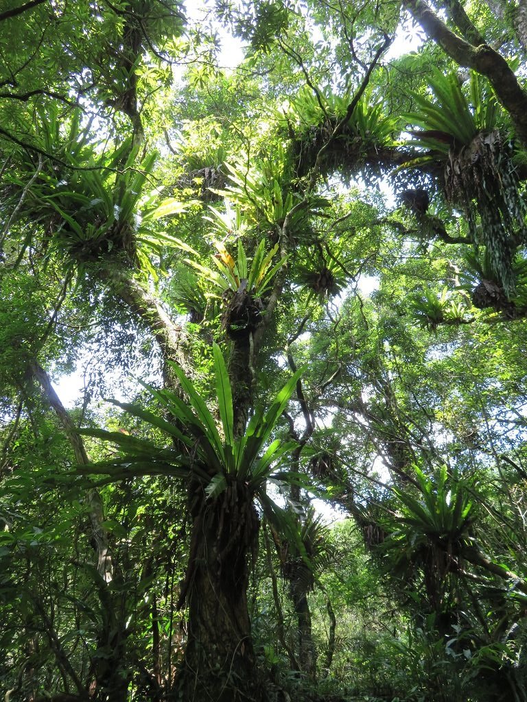 IMG_1324.jpg