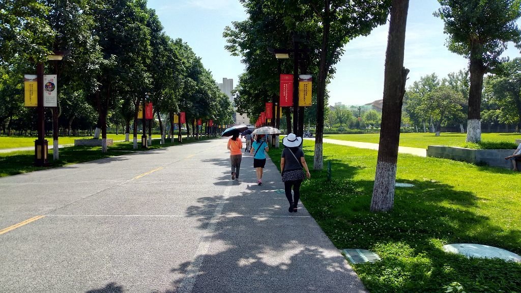 P_20190707_101903_vHDR_On.jpg