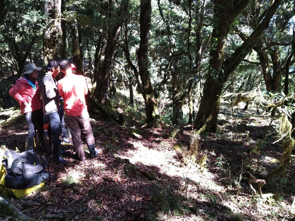 IMG_20201006_091256.jpg