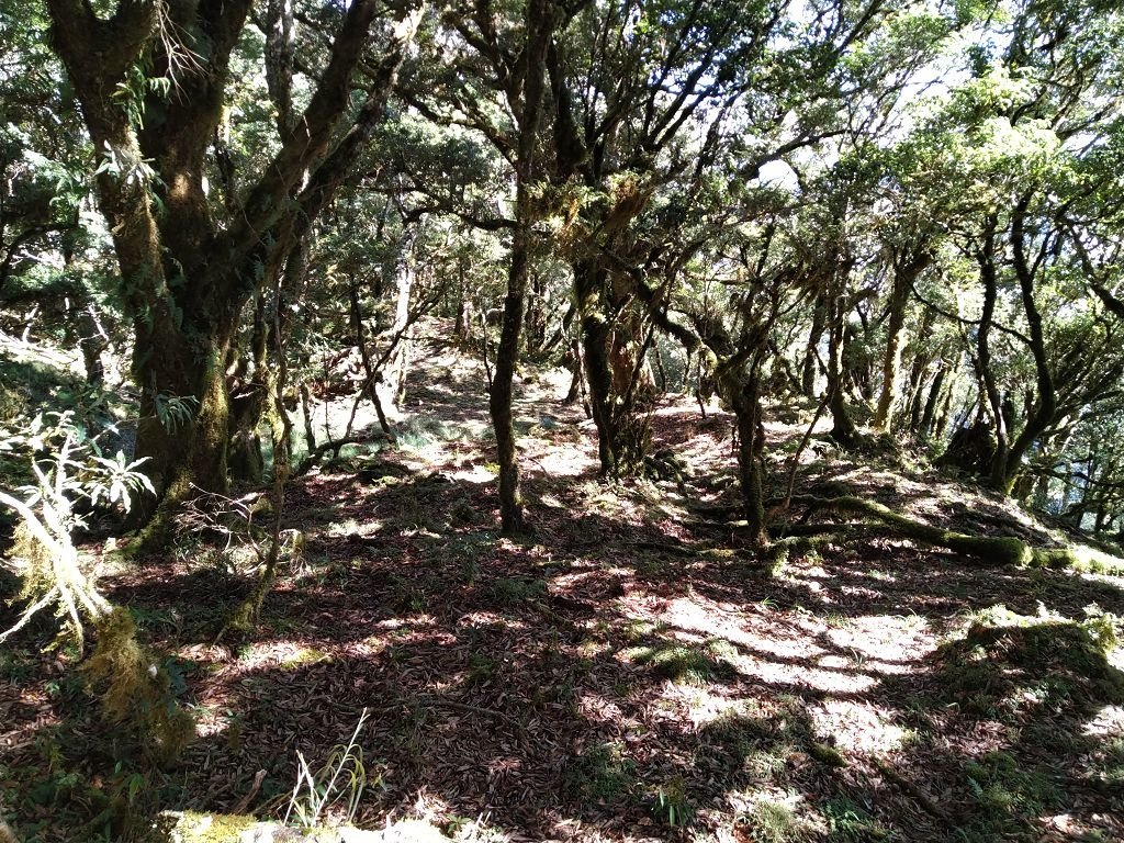 IMG_20201006_091304.jpg