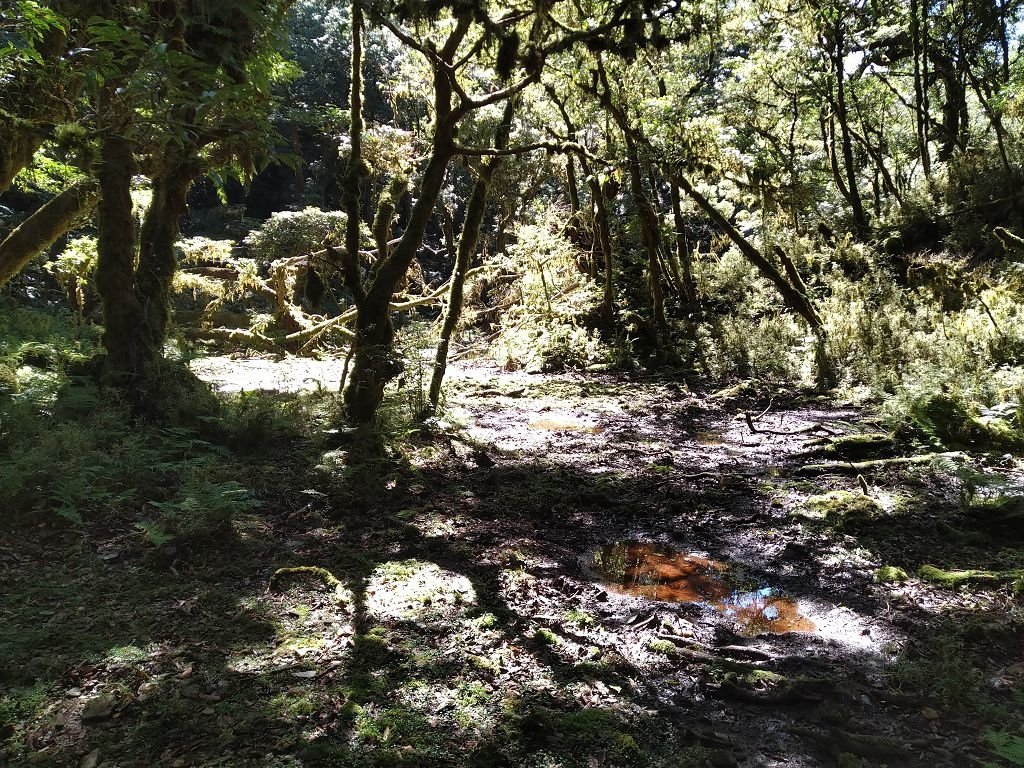 IMG_20201006_100621.jpg
