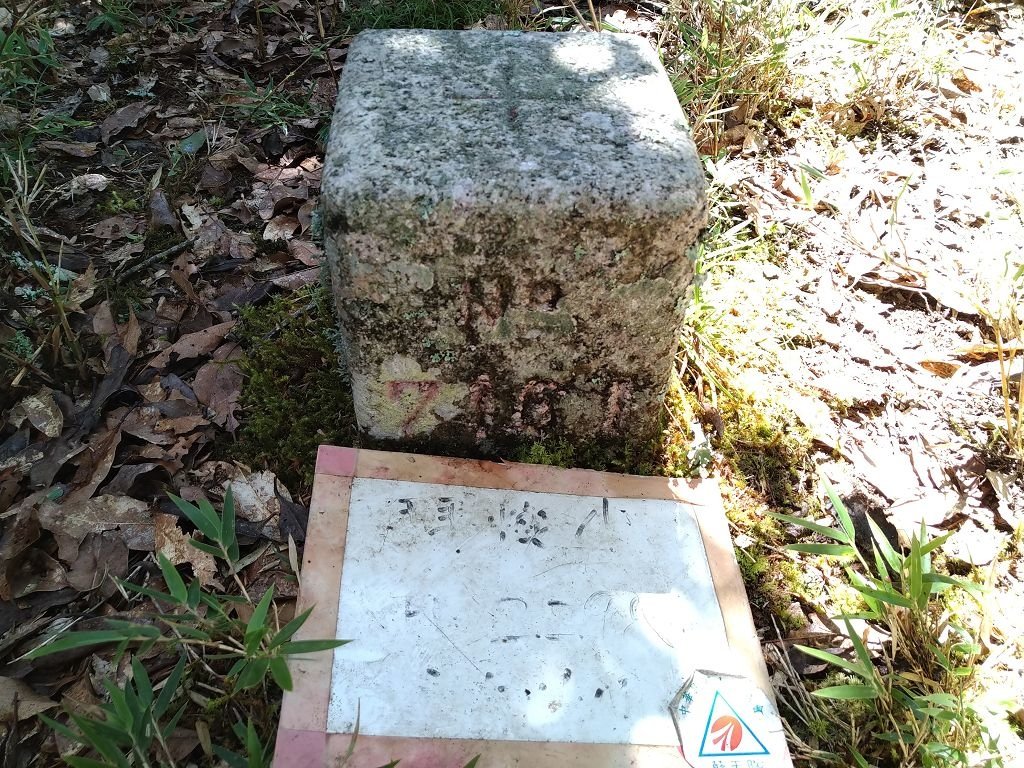 IMG_20201006_111306.jpg