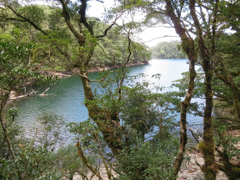 IMG_4366.jpg
