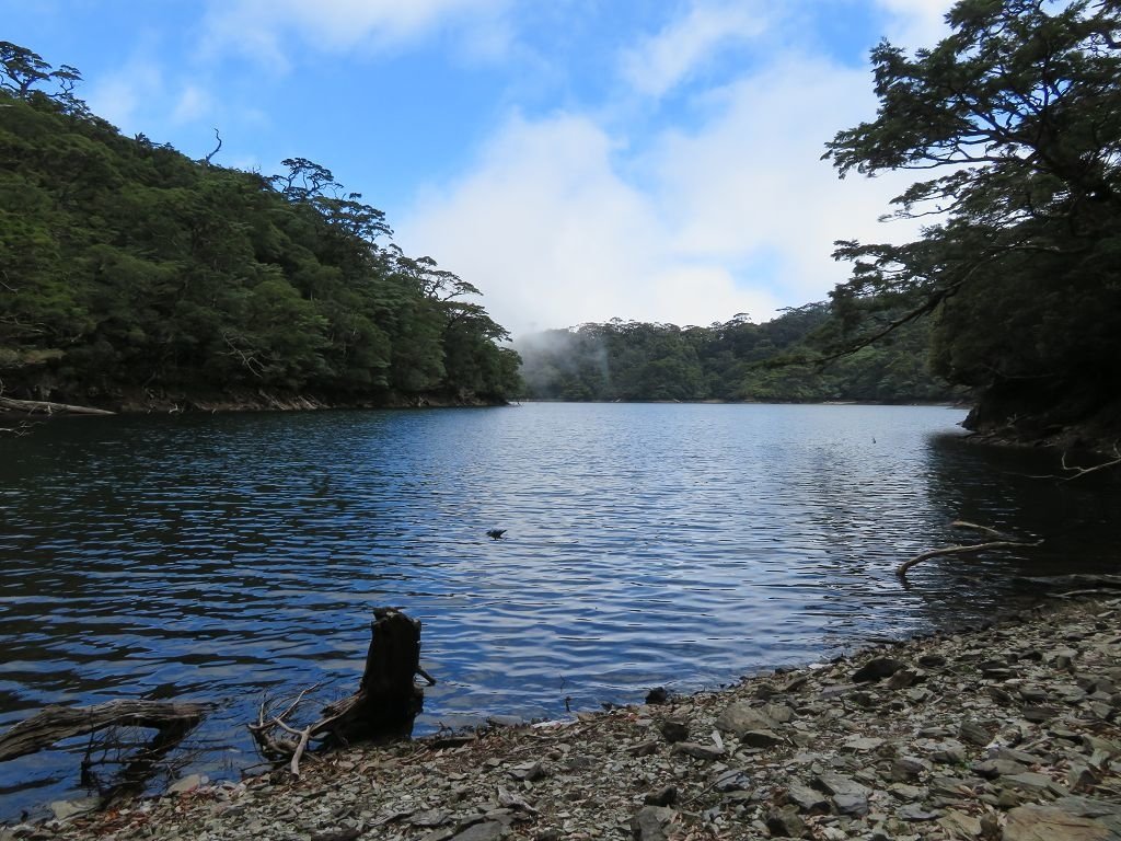 IMG_4376.jpg
