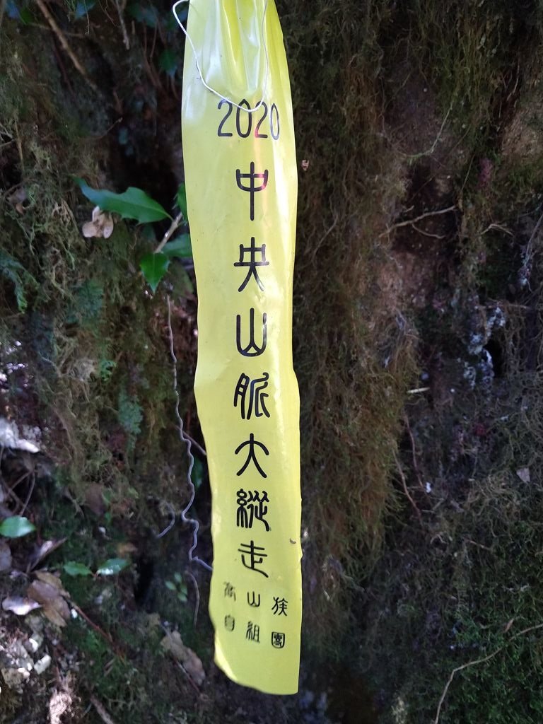 IMG_20201007_110506.jpg