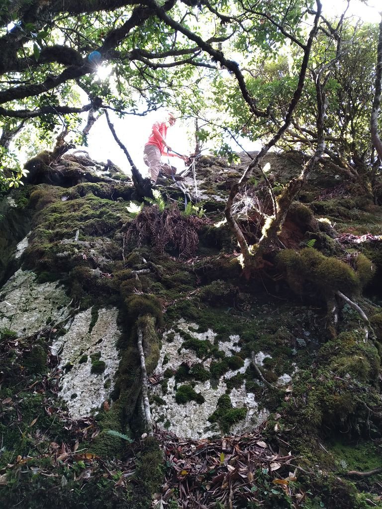 IMG_20201007_110625.jpg
