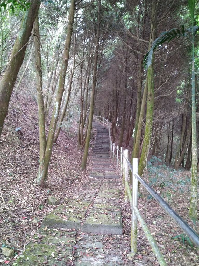 IMG_20201212_160930.jpg