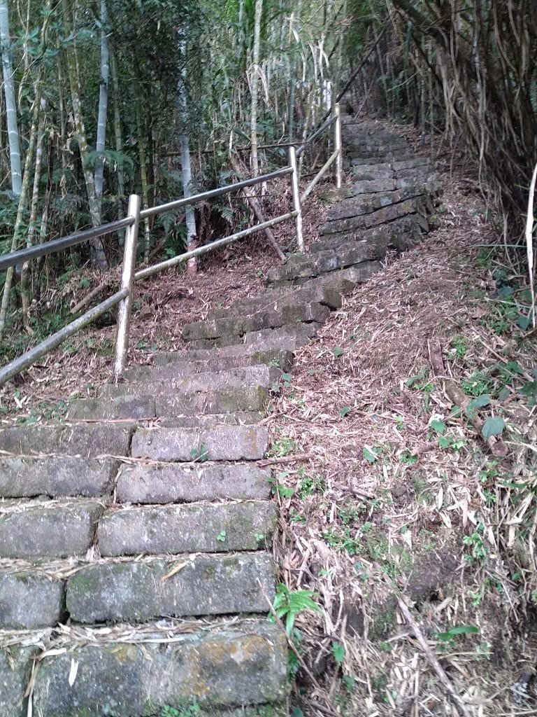IMG_20201212_162810.jpg