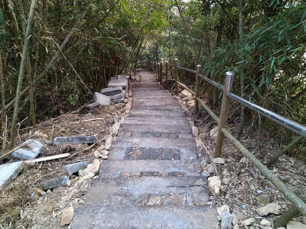 IMG_20201212_165336.jpg