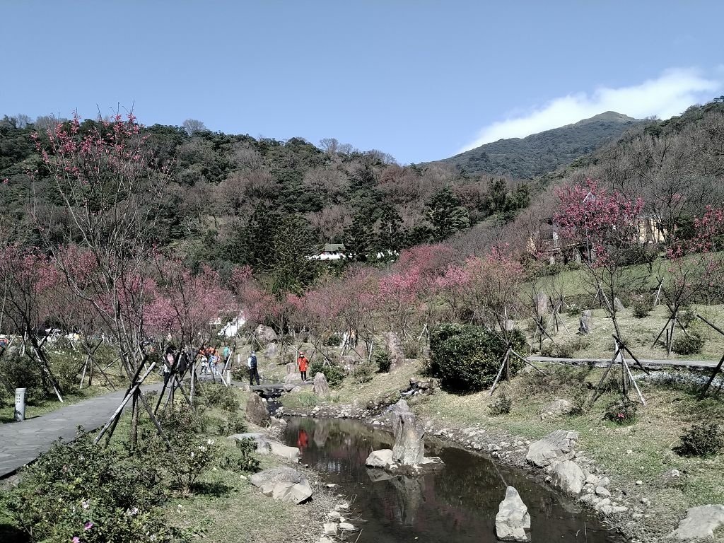 IMG_20210203_131913.jpg