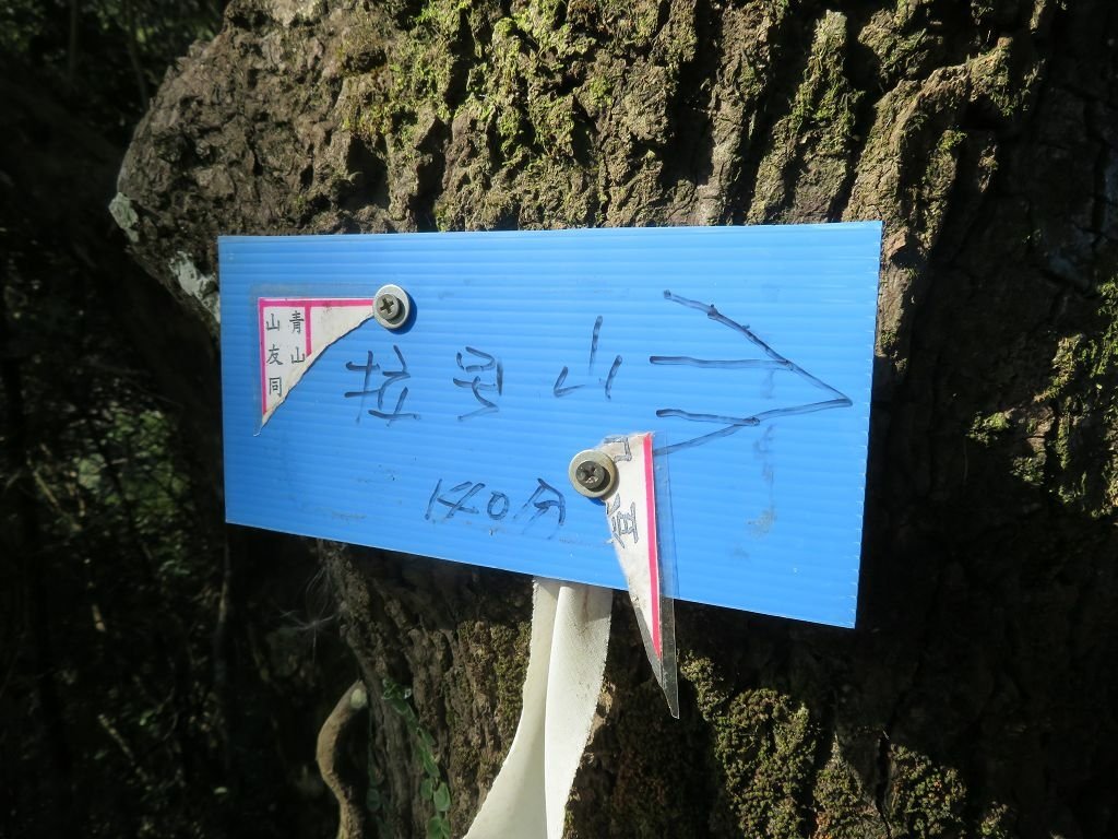 IMG_5950.jpg