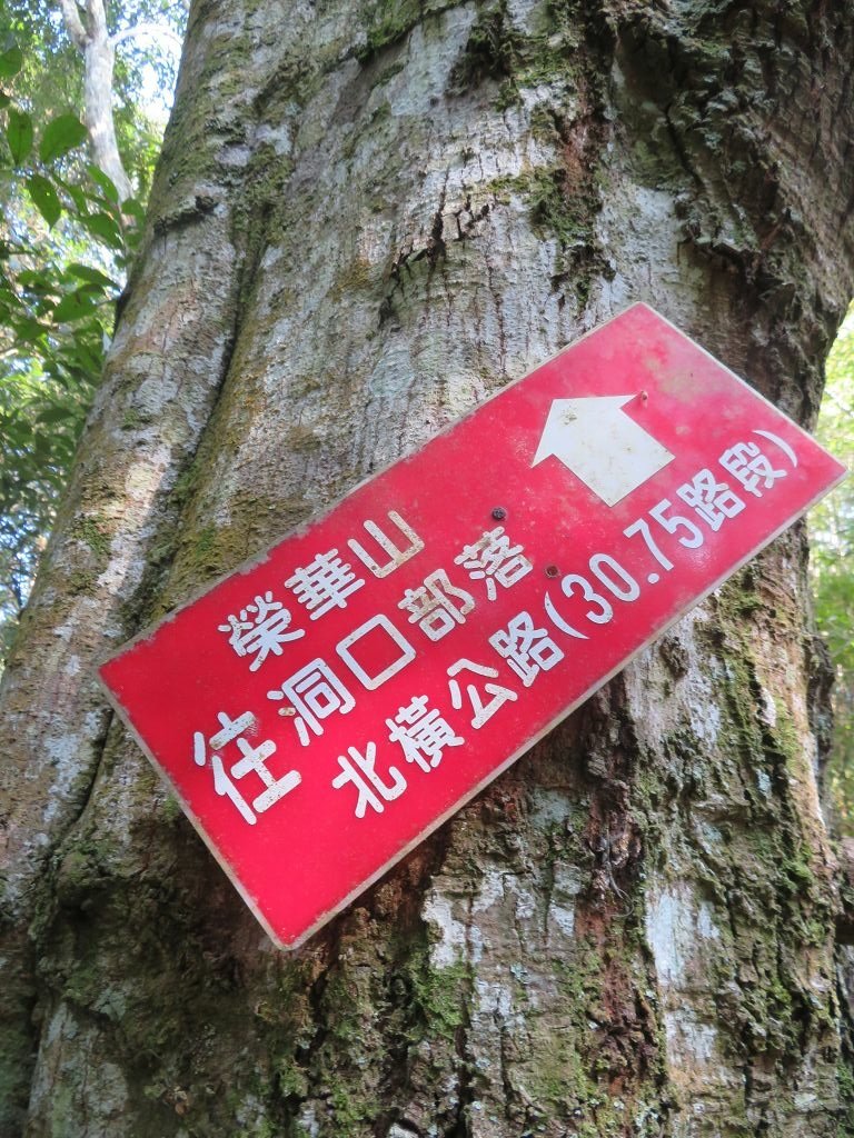 IMG_6052.jpg