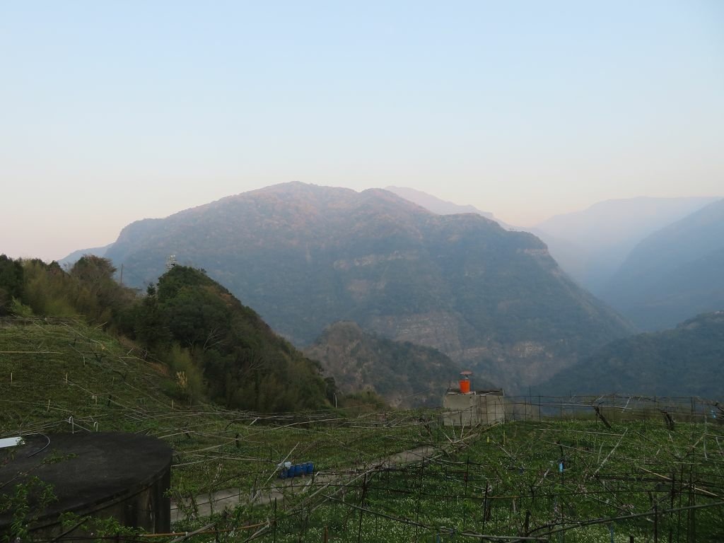 IMG_6100.jpg