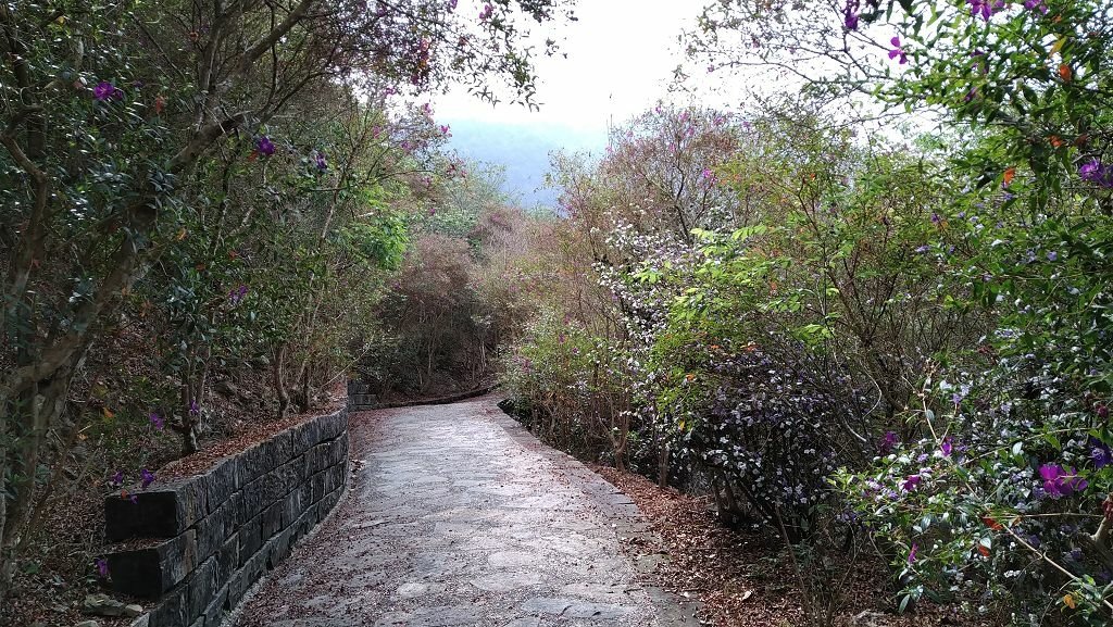 IMG_20210326_094745.jpg