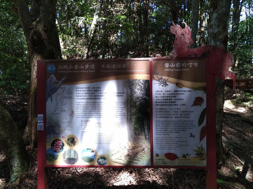 IMG_20210507_101602.jpg