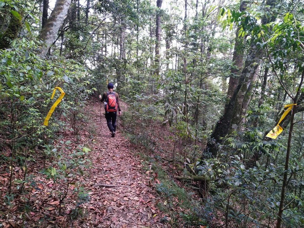 IMG_20210507_111349.jpg