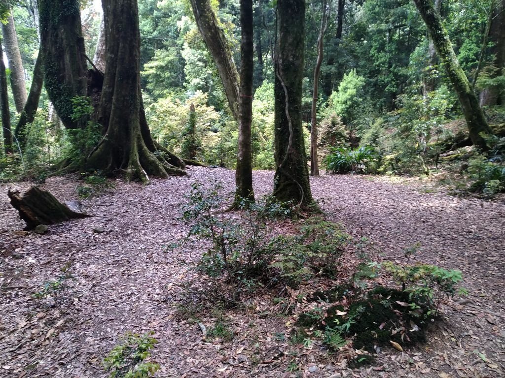 IMG_20210507_112831.jpg