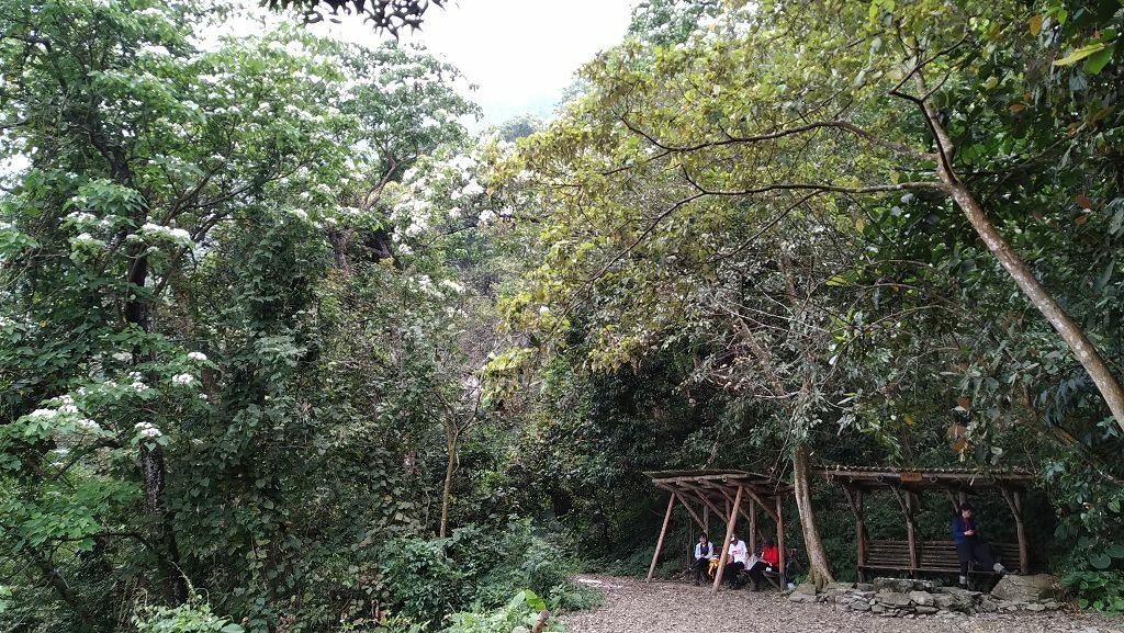 IMG_20220417_095758.jpg