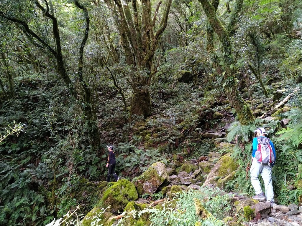 IMG_20220806_102034.jpg