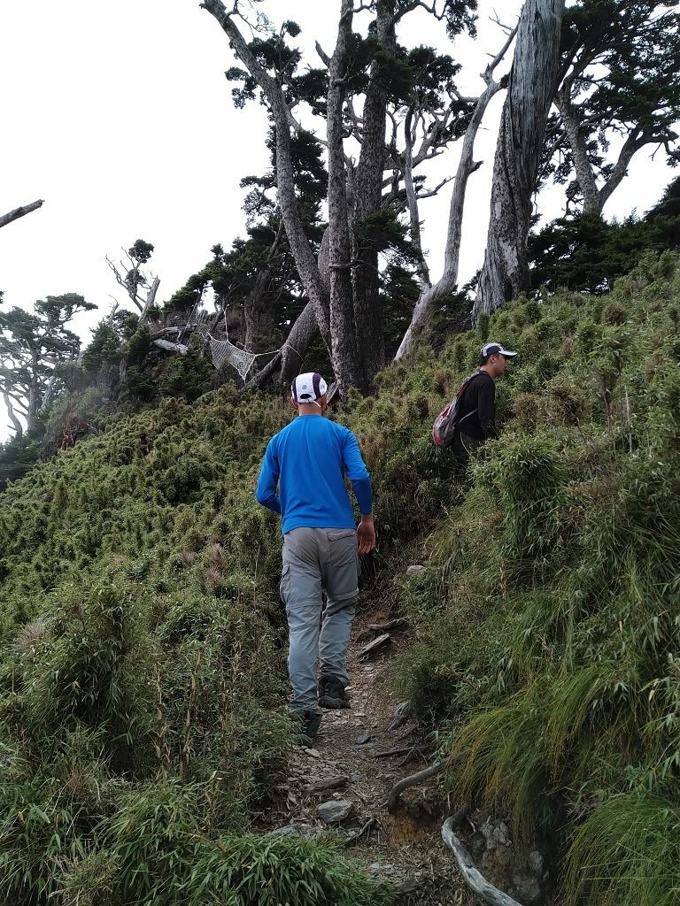 IMG_20220806_115142.jpg