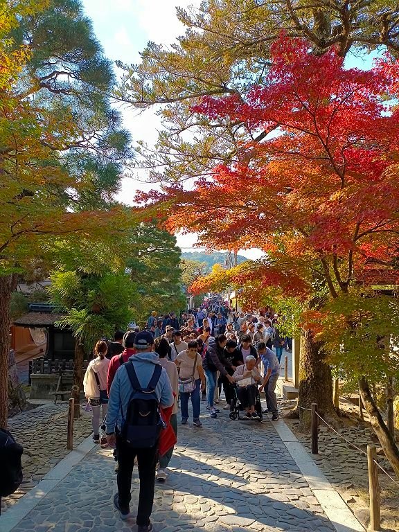 20231114~28關西自由行d10(京都下鴨神社---清