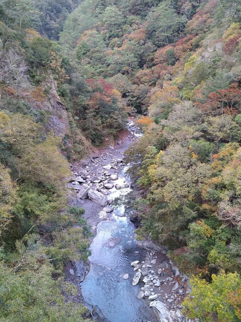 20231209~15 日八通關越嶺道全段d5~d7