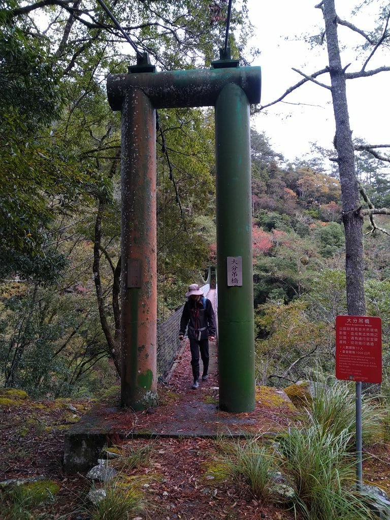 20231209~15 日八通關越嶺道全段d5~d7