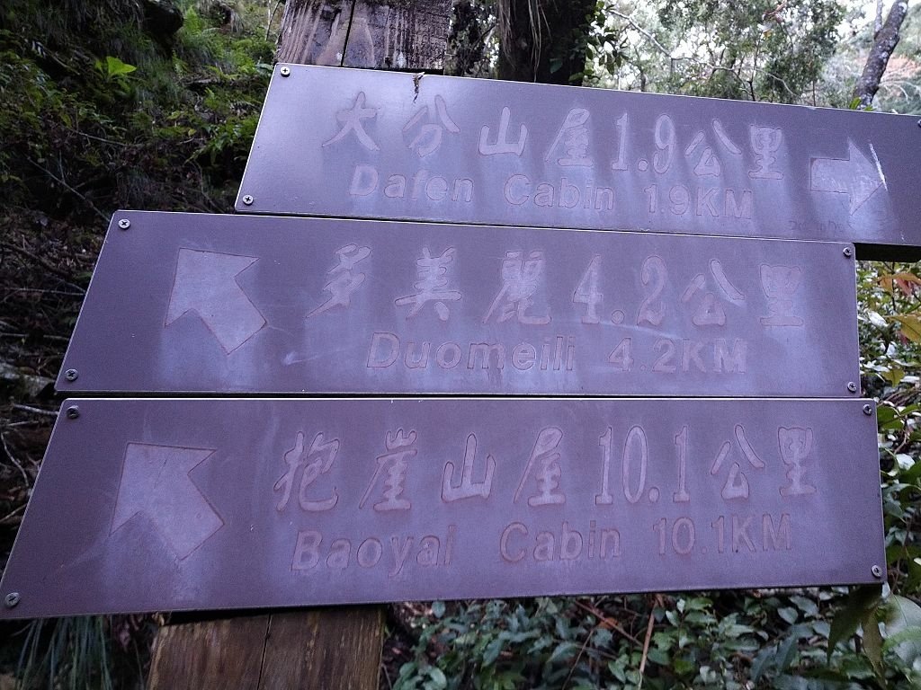 20231209~15 日八通關越嶺道全段d5~d7