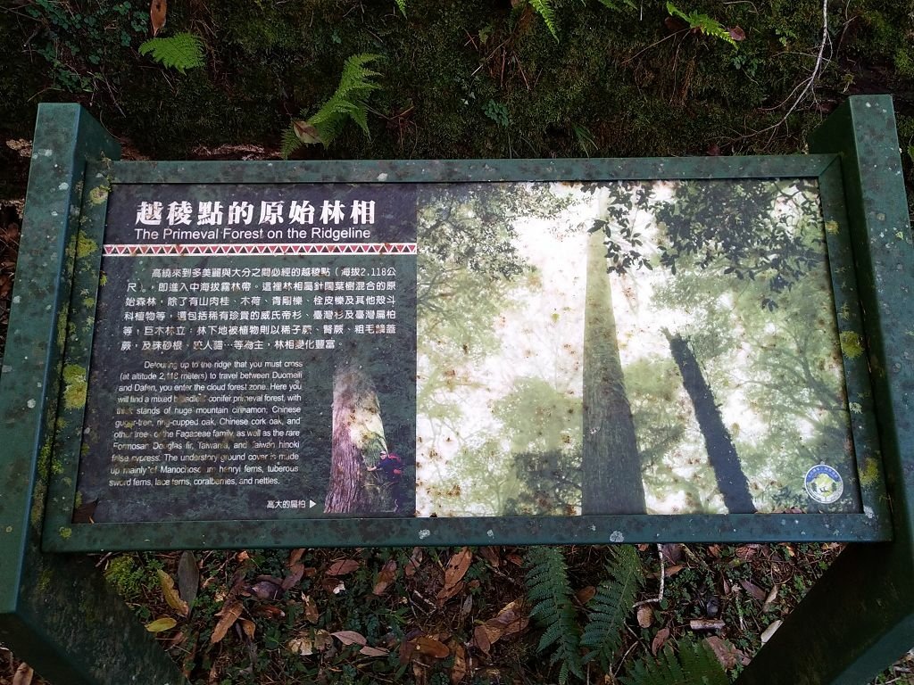 20231209~15 日八通關越嶺道全段d5~d7