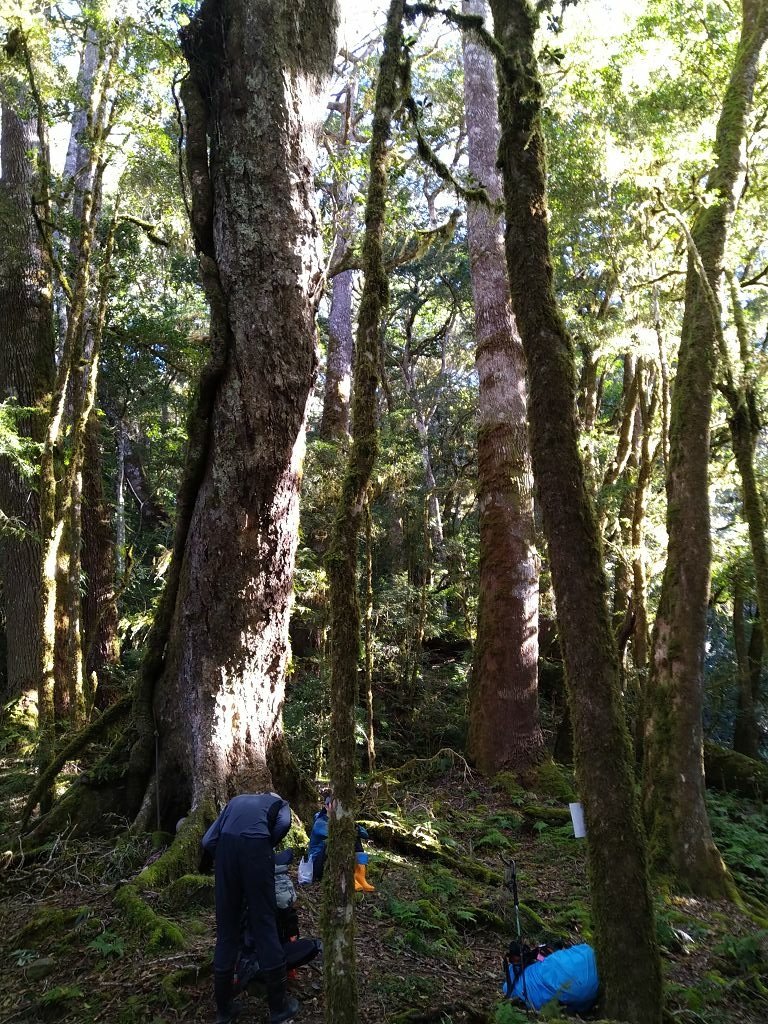 20231209~15 日八通關越嶺道全段d5~d7
