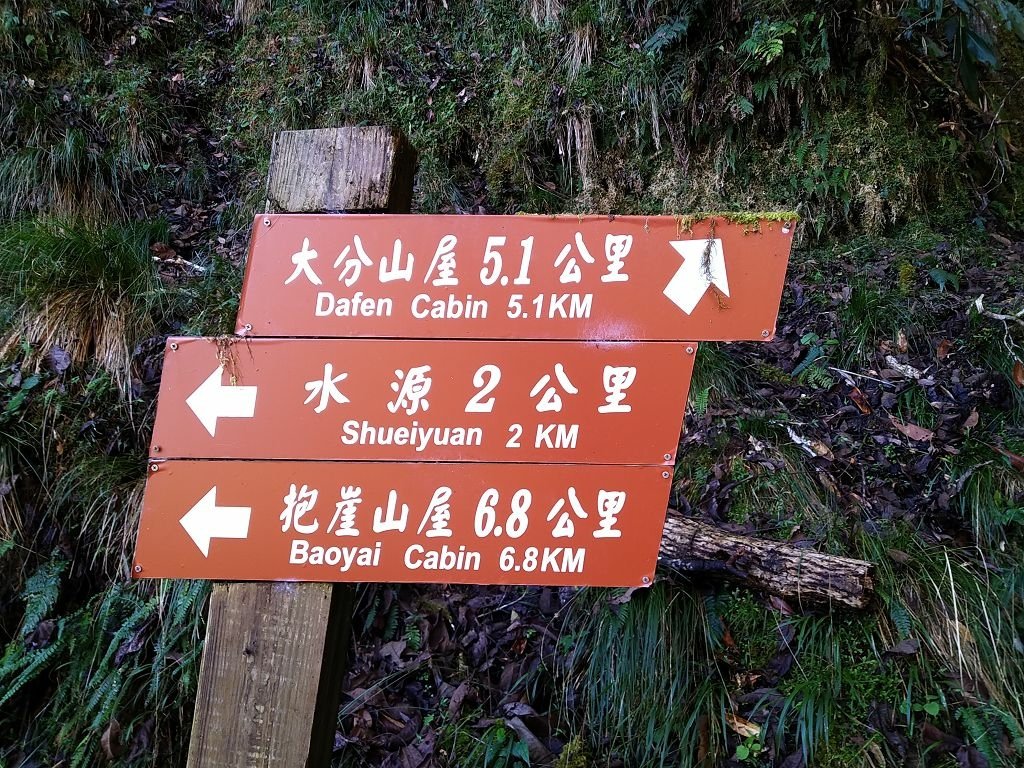 20231209~15 日八通關越嶺道全段d5~d7