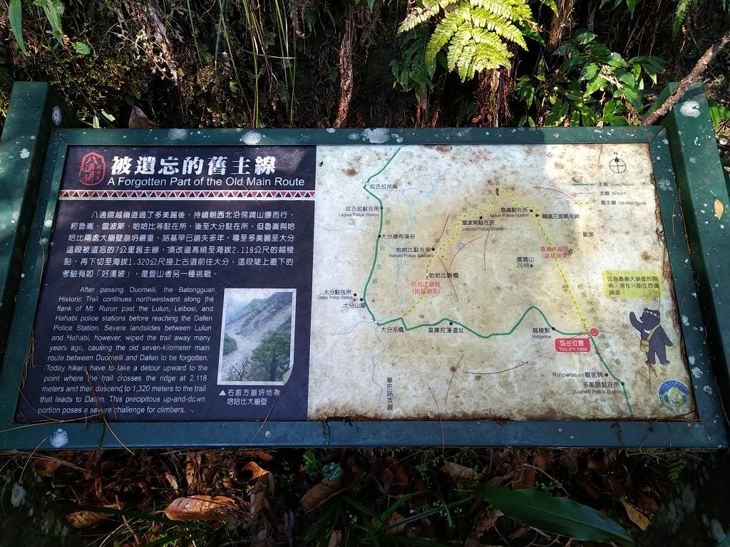 20231209~15 日八通關越嶺道全段d5~d7