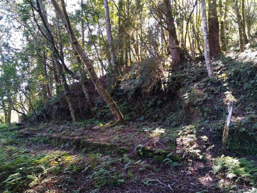 20231209~15 日八通關越嶺道全段d5~d7