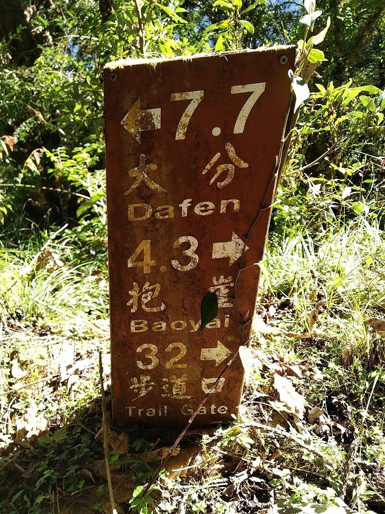 20231209~15 日八通關越嶺道全段d5~d7
