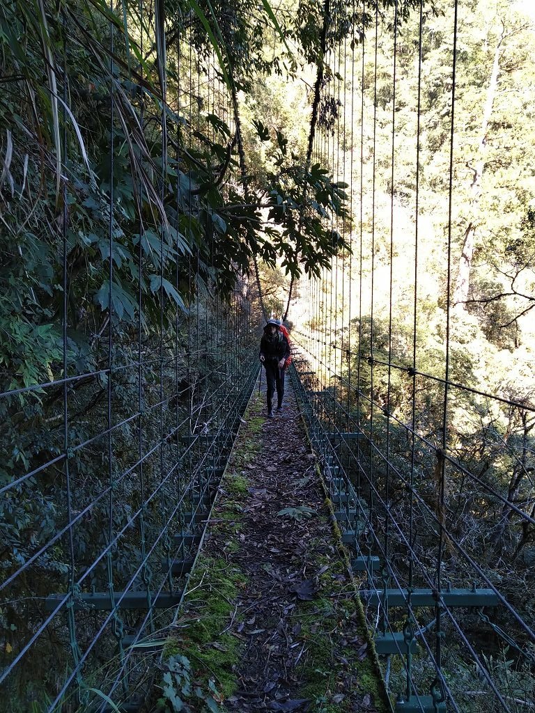 20231209~15 日八通關越嶺道全段d5~d7