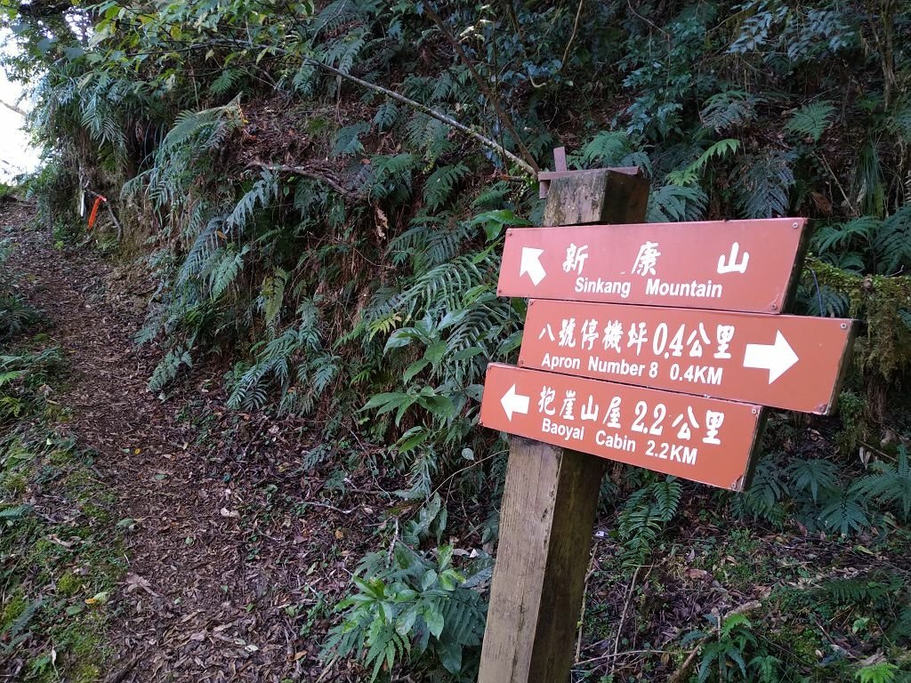 20231209~15 日八通關越嶺道全段d5~d7
