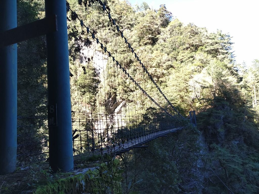 20231209~15 日八通關越嶺道全段d5~d7