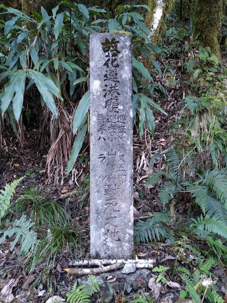 20231209~15 日八通關越嶺道全段d5~d7