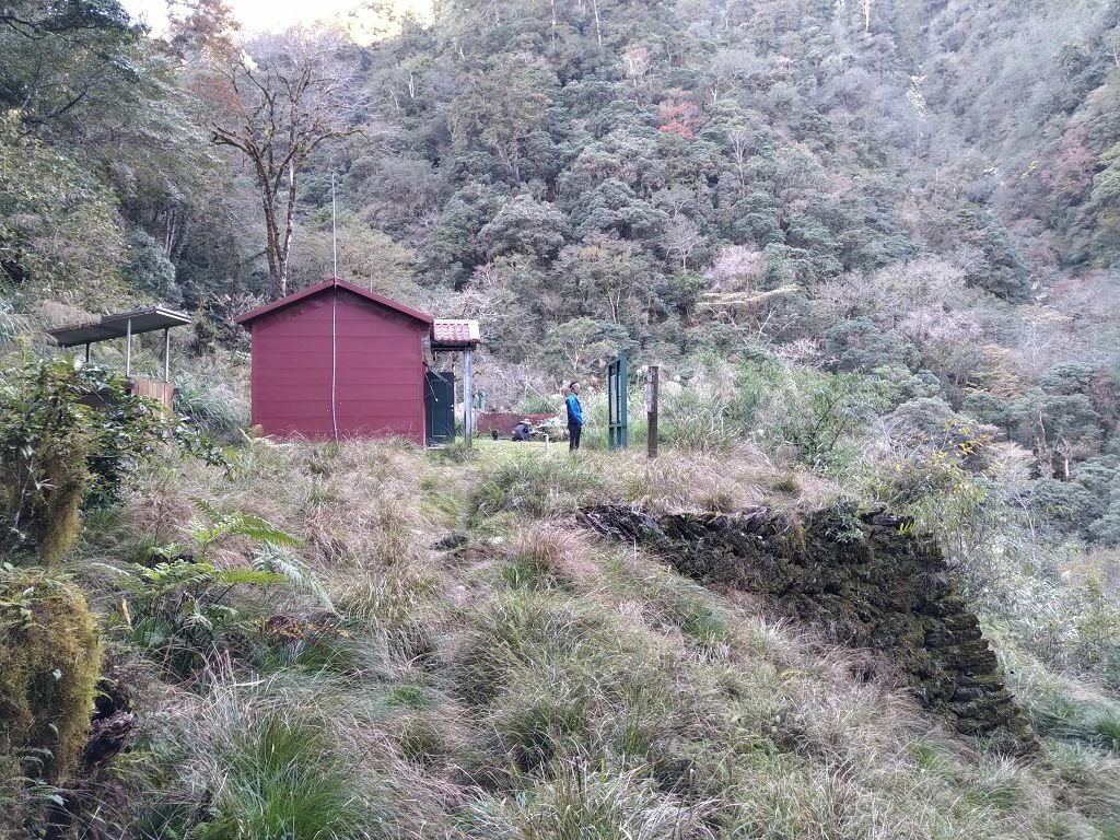 20231209~15 日八通關越嶺道全段d5~d7