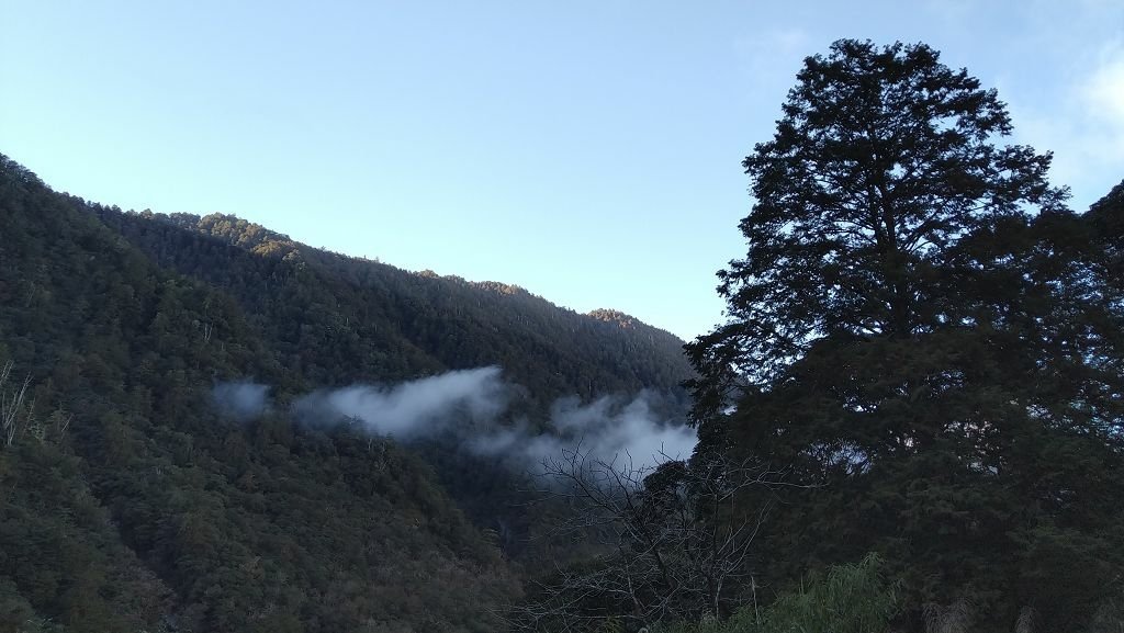 20231209~15 日八通關越嶺道全段d5~d7