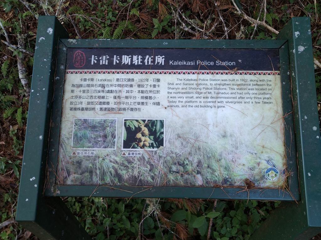 20231209~15 日八通關越嶺道全段d5~d7